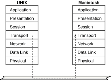 [02fig02.gif]