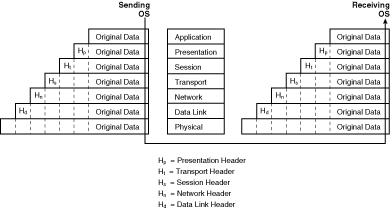 [02fig03.gif]